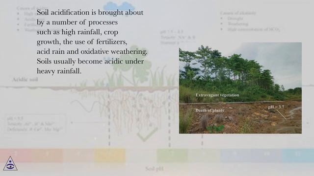 Why soil pH? смотреть онлайн
