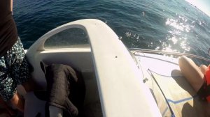 Рыбалка в Сочи, сестры двойняшки