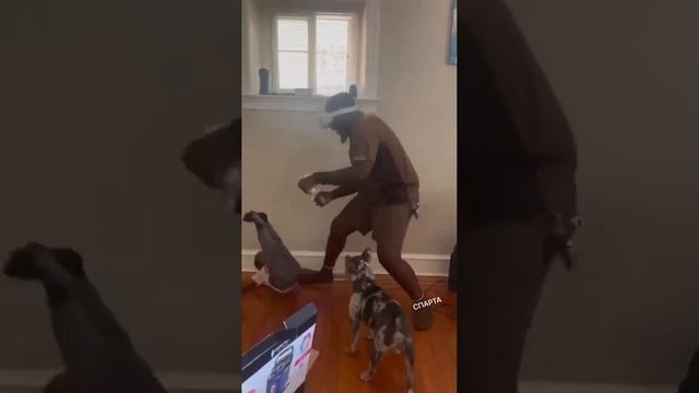 Отец геймер горе в семье