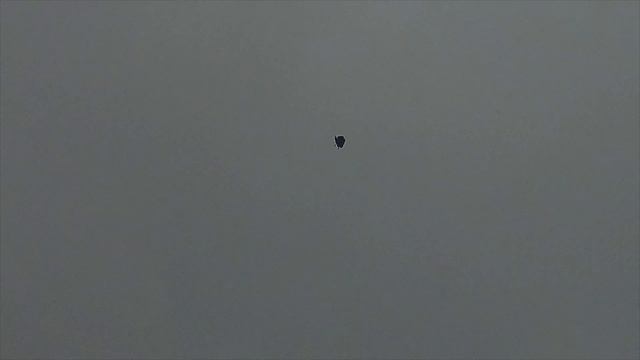 Crow tree of doom смотреть онлайн