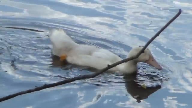 В гостях «У Риты». Слово о мудинах смотреть онлайн