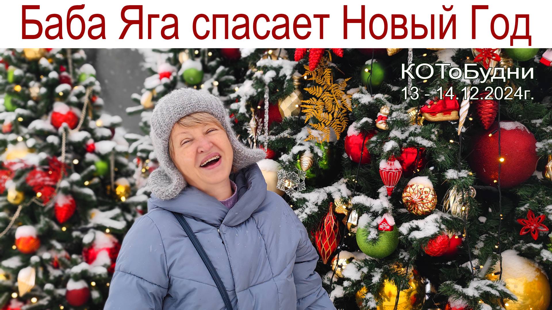 Непростая та старушка, что живет в лесной избушке... или КОТоБудни от 13 - 14.12.2024г. смотреть онлайн