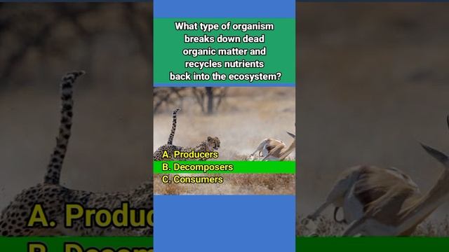 Ecology Quiz#6, Multiple choice questions about Ecology #quiz смотреть онлайн