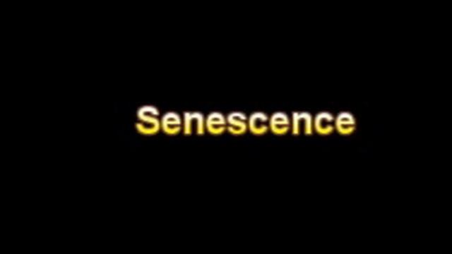 What Is The Definition Of Senescence Medical School Terminology Dictionary смотреть онлайн