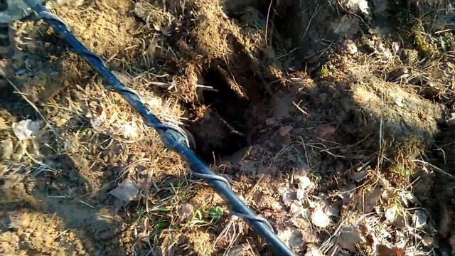 КОП СОВЕТСКИХ МОНЕТ  МЕТАЛЛОИСКАТЕЛЬ X-TERRA 705 КОМИ КОП