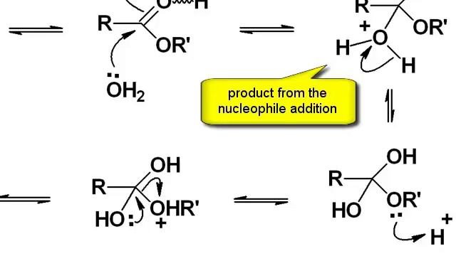 Chemistry Vignettes; Acid catalysed ester hydrolysis смотреть онлайн