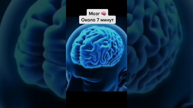 КАК ДОЛГО МОЖНО ПРОЖИТЬ БЕЗ ЭТИХ ОРГАНОВ???