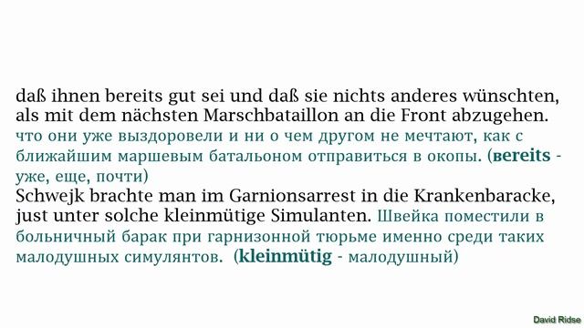 12. Die Abenteuer des braven Soldaten Schwejk. Глава№ 8(1). Schwejk als Simulant. смотреть онлайн
