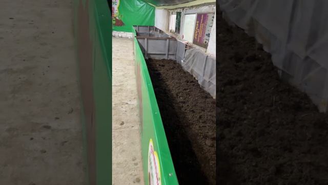 №6. Шылаушындарды қыс мезгілінде қандай күтім жасау керек смотреть онлайн