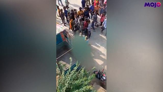 On Camera, Mob Assaults Tribal Woman In Madhya Pradesh | 3 Arrested So Far смотреть онлайн