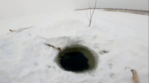 Рыбалка у чёрной дыры. Ловля налима. Сорок третья серия.