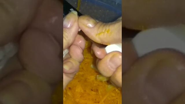 Салат ис квашеной капустой смотреть онлайн