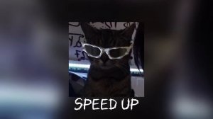 Плейлист самых вайбовых песен 2024 года🥩🥩  speed up