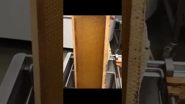 Цветочный мёд полезный мёд смотреть онлайн