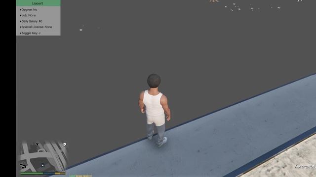 Grand Theft Auto V работа водителя автобуса {мод.....) смотреть онлайн