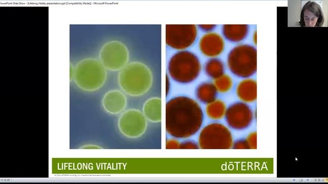 Essential Classes: Lifelong Vitality смотреть онлайн