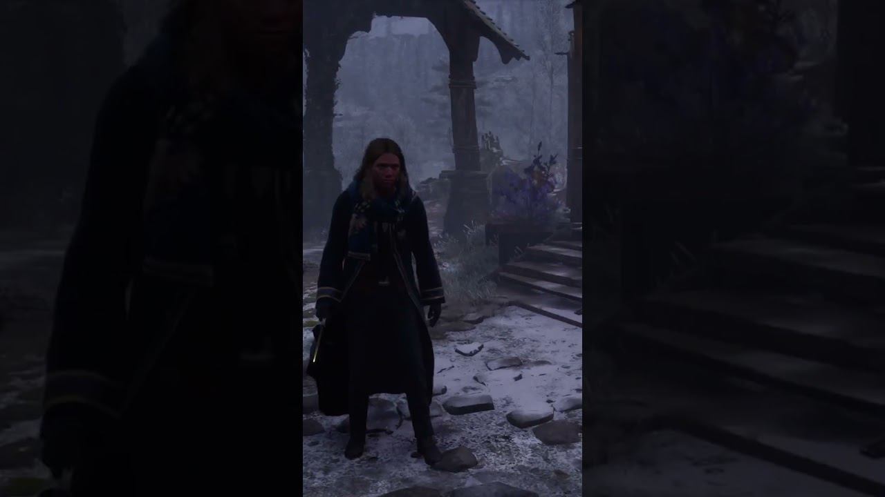 389 Шляпу убери Hogwarts legacy, Лучшее, Shorts смотреть онлайн