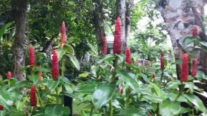 KINGO RETREAT RESORT - PHÚ QUỐC