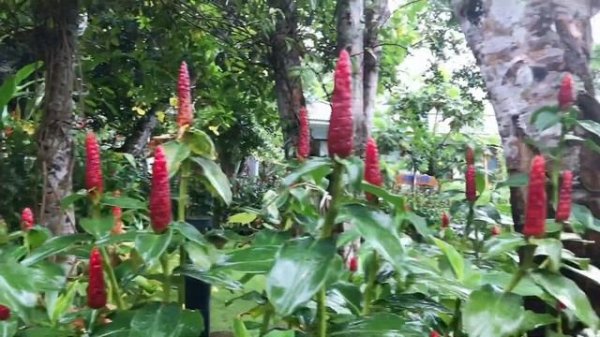 KINGO RETREAT RESORT - PHÚ QUỐC