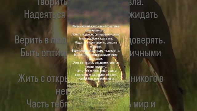 Правда смотреть онлайн