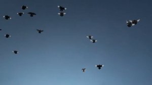 Курские голуби