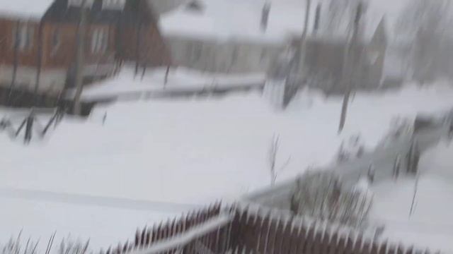 Февраль ,снегопад и воробьиные песняки.12.02.2021.❄❄❄ смотреть онлайн