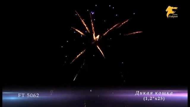 Дикая кошка - 25 залпов смотреть онлайн