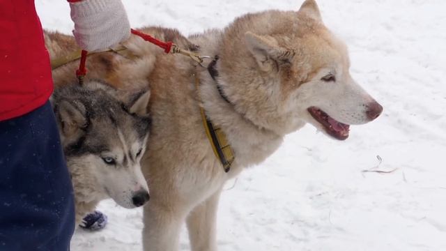"Жалость к себе". 30 декабря. Мужество меняться. Ежедневник для созависимых. смотреть онлайн