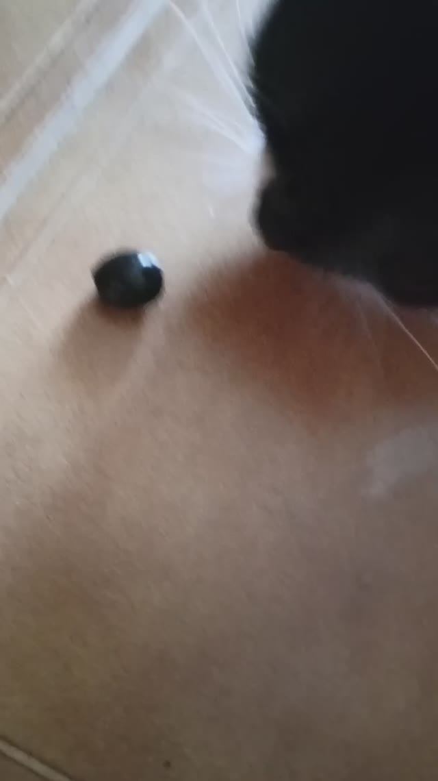 Бося и маслины смотреть онлайн