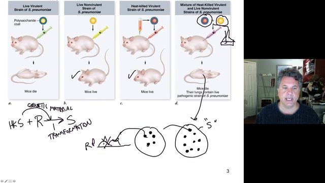 Cinelecture 78 - DNA, The Genetic Material