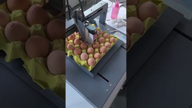 Маркировка яиц маркиратор яйца маркинг #marking #facemark #оборудование смотреть онлайн