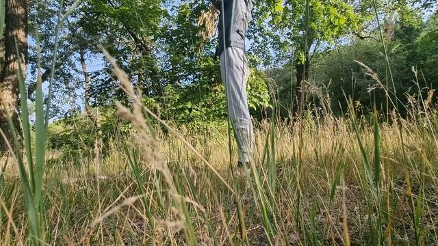 Утро Зарядка Растяжка Путь к Здравию смотреть онлайн