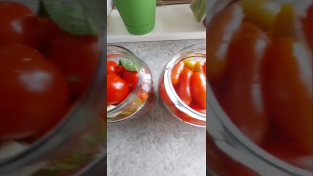 черри на зиму... смотреть онлайн