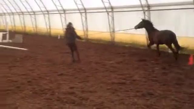 Elias Jump on the Lunge смотреть онлайн
