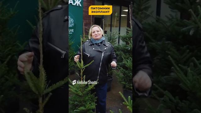 Светлана ПЕРМЯКОВА рекомедует питомник ЭКОПЛАНТ🌱