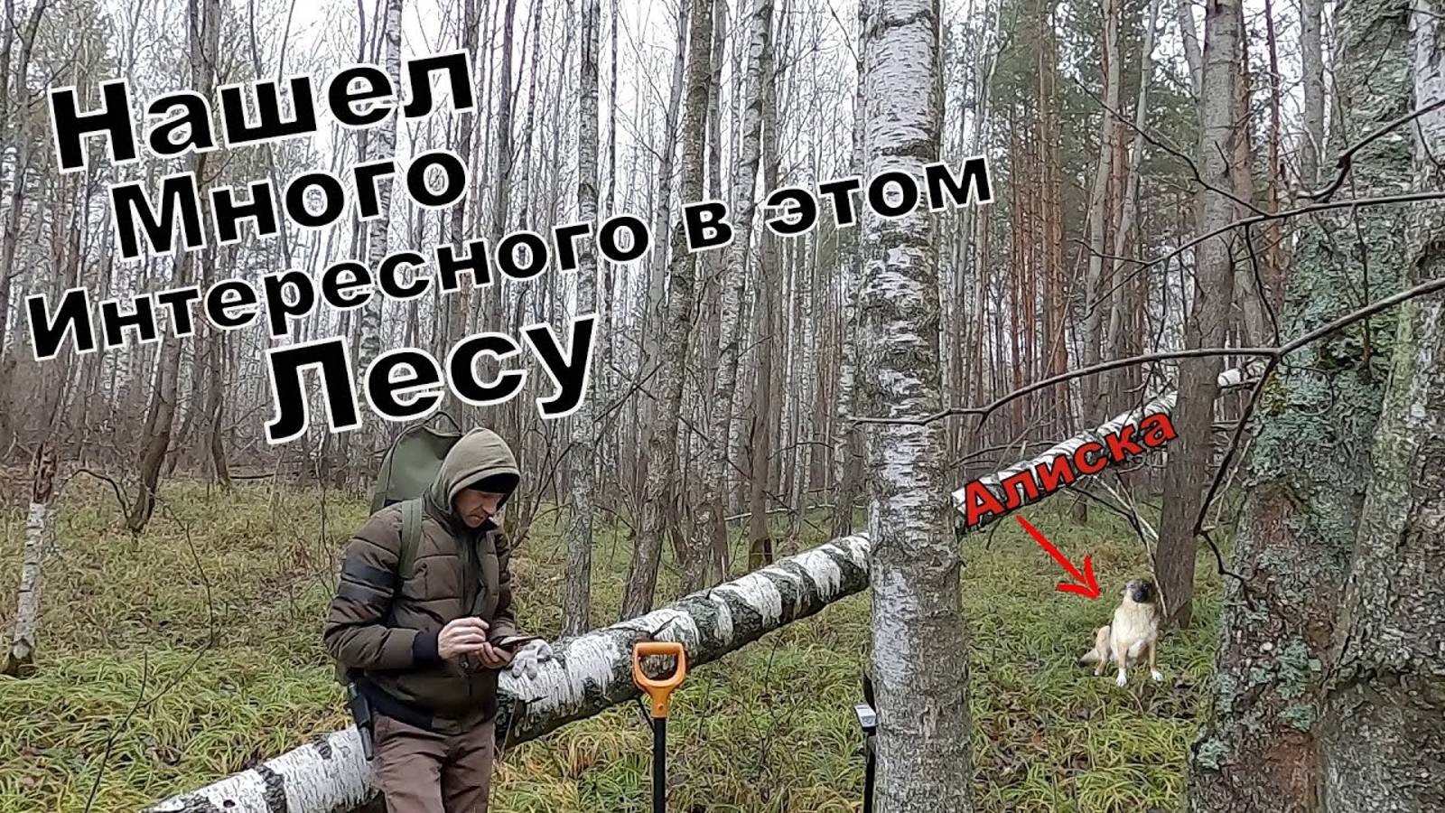 Коп в Дремучем Лесу с Алиской. Интересные Находки Все же Есть