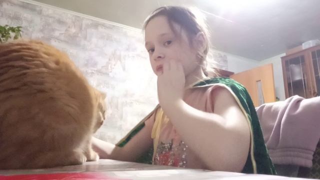 это моя кошка Буся! смотреть онлайн