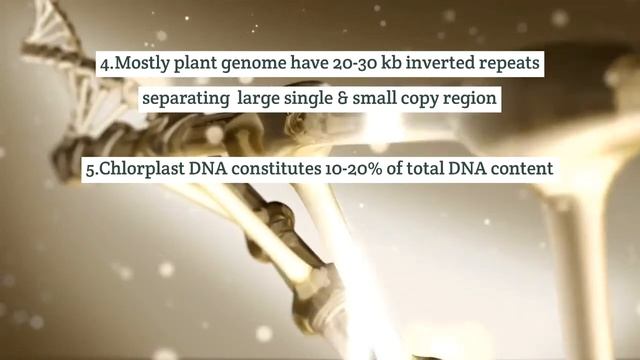 Chloroplast Genome Organization смотреть онлайн