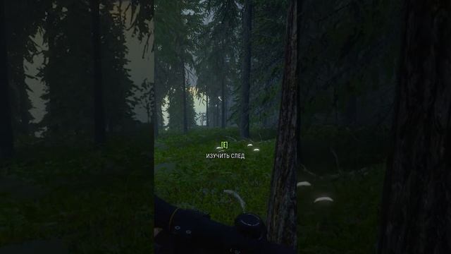 360 Там медведь, Лучшее, Shorts смотреть онлайн