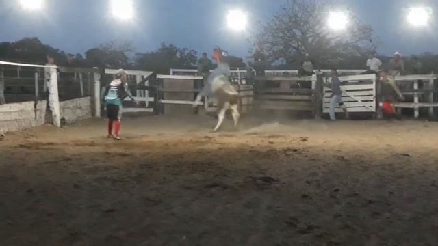 Galinze X mustang (Cia de Rodeio LP ) смотреть онлайн