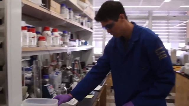 Nicole Poweleit, Josh Lee, Brian McVerry - UCLA science PhDs смотреть онлайн
