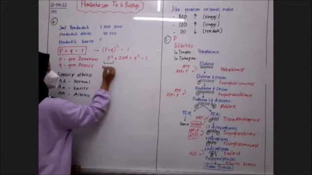 PEMBAHASAN SOAL TO 6 INTENSIF SBMPTN / PREDIKSI UTBK SBMPTN 2022 - BIOLOGI смотреть онлайн