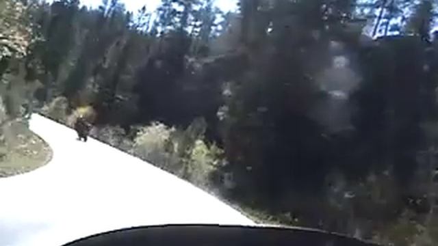 Black Hills смотреть онлайн