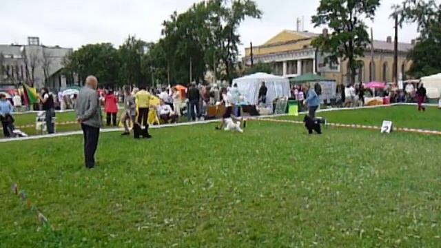 Карлики ВОВ Белые ночи 2009 смотреть онлайн