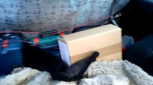 Свет в багажнике Лада-Ларгус.