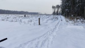 KRAL ARMS Puncher Maxi 3. Пробуем различные пули с альфа ствола.