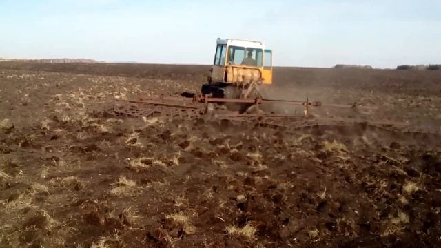 Боронование Дт- 75 + зубовыми боронами смотреть онлайн