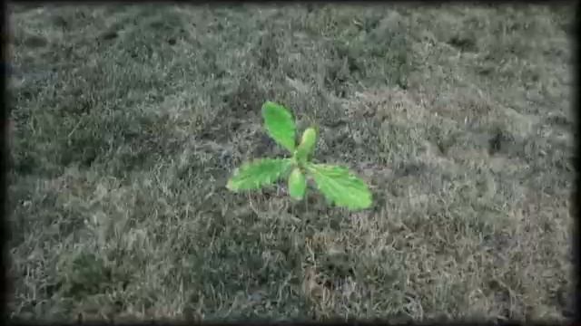 Tulsa | Check Soil Health | 918-640-6405 смотреть онлайн