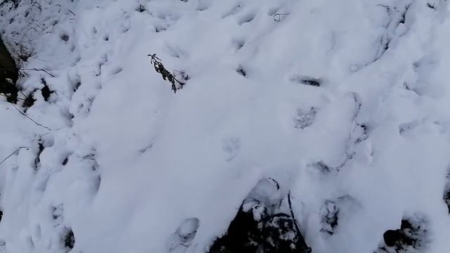 охота зима 2021 1 смотреть онлайн