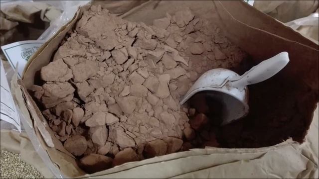 Cocao Bean Powder - Flavonoids, Iron, Protein, Magnesium, Potassium, Brain Health, Heart Health смотреть онлайн